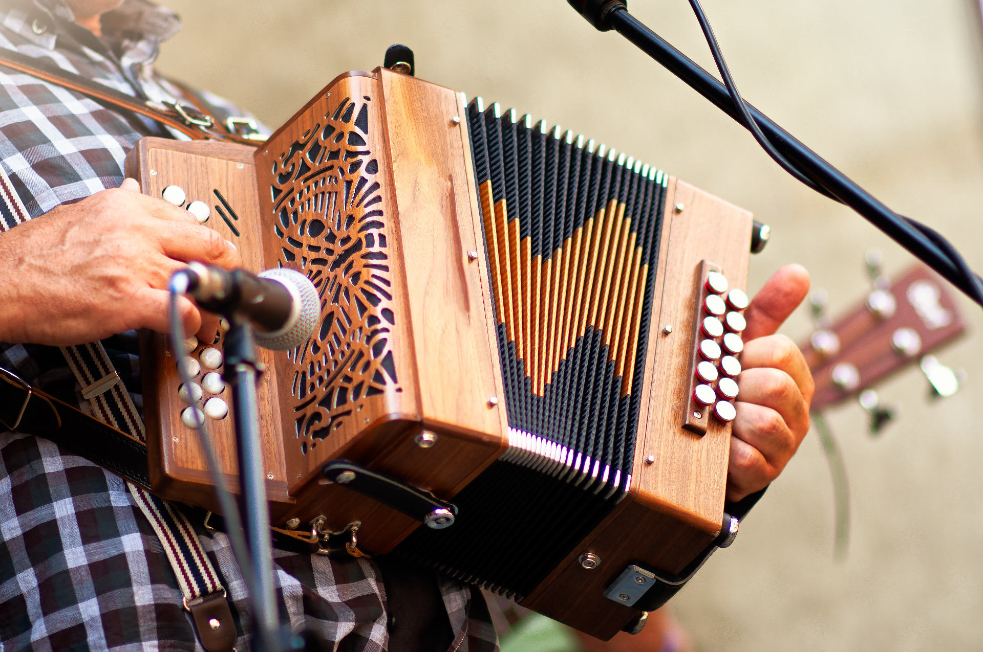 concertina-popular-accordion-player-ekyb35f.jpg